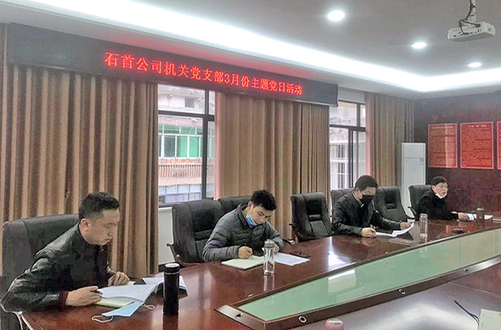 石首公司三月份支部主題黨日活動情況匯報